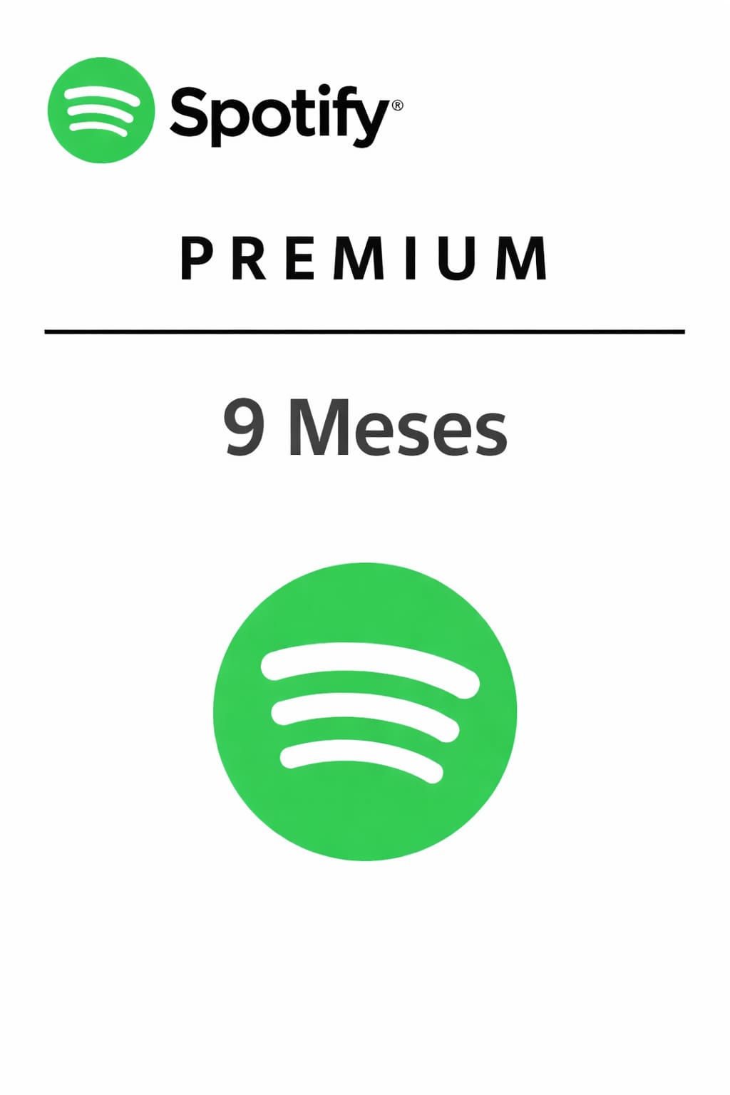 Spotify Premium 9 Meses