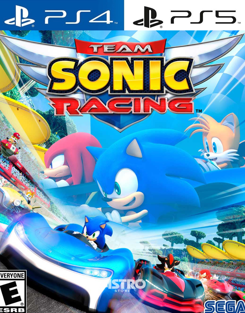 TEAM SONIC RACING
